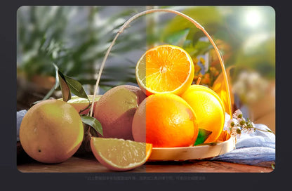 ZU80/ZU60 Photo Studio Light COB Bi-Color 2500-8500K CRI≥95 TLCI≥97 With Diffuser LED Video Lights Fill Lighting
