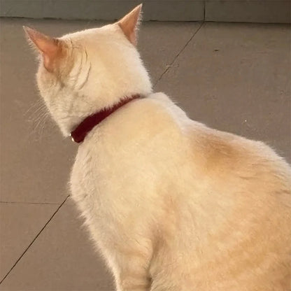 Personalized Corduroy Cat Collar with Engraved Name Plate, Bell & Bow Tie - Custom Breakaway Safety Collar