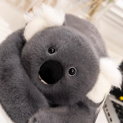 65cm Kawaii High Quality Forest Animal Plush Doll Pillow Soft Long-arm Raccoon Dinosaur Sloth Panda Koala Plush Toy Home Decor