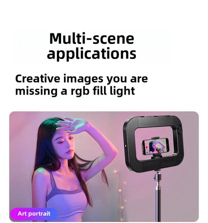 Phone Video Handheld LED Fill Light Selfie Light Phone Video Stabilizer for Camera, Phone, Tiktok, YouTube, Makeup, Video Blog