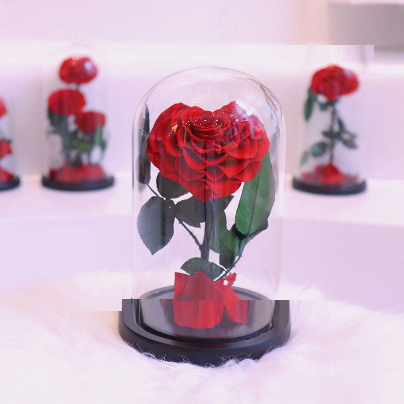 Glass Cover Tanabata Valentine's Day Immortal Rose Gift