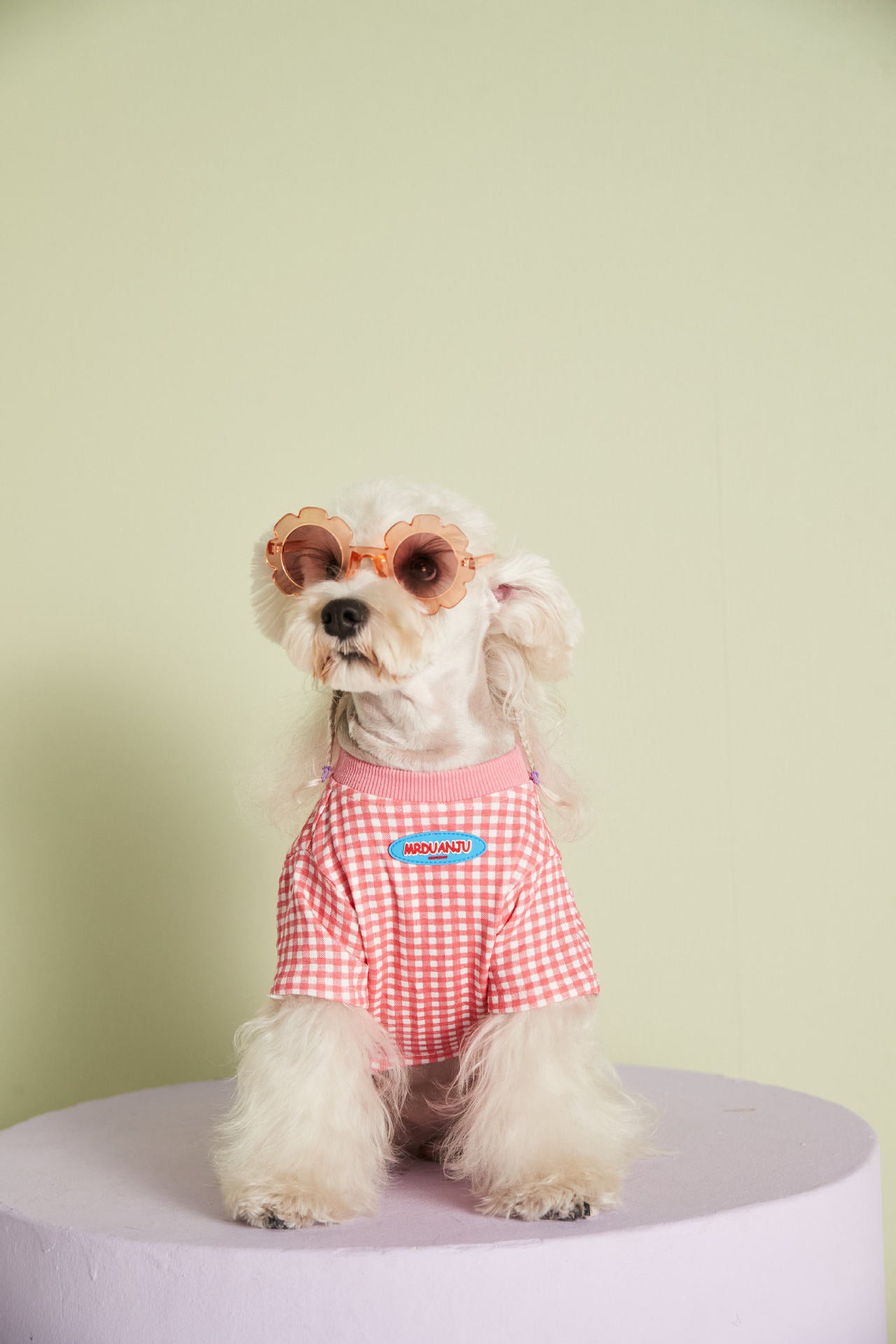 Summer Thin Candy Color Plaid T-Shirt Teddy