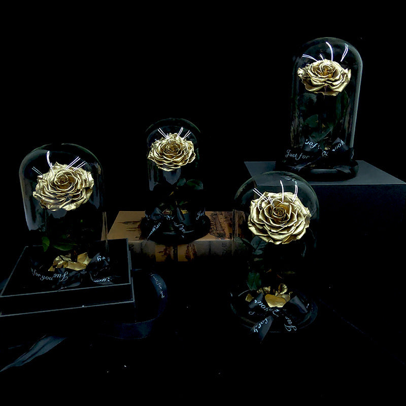 Glass Cover Tanabata Valentine's Day Immortal Rose Gift