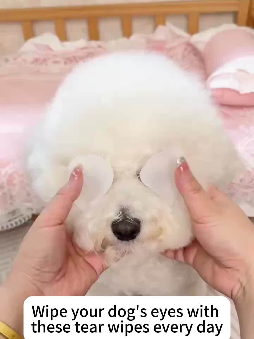 150-Pack Pet Wipes, Gentle Eye & Ear Cleaning, Tear Stain Remover, Non-Irritating, for Dogs and Cats, Plastic, Pet Care Supplies