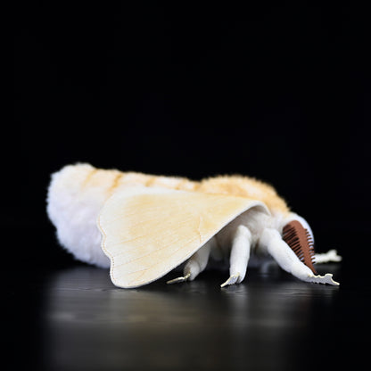 Insect Series Silkworm Moth Plush Toy Doll