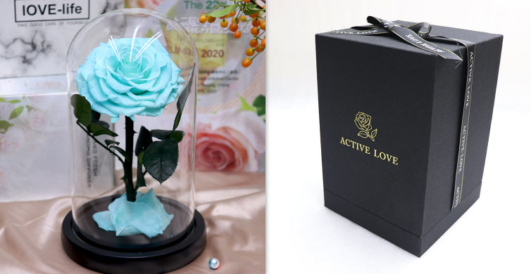 Glass Cover Tanabata Valentine's Day Immortal Rose Gift