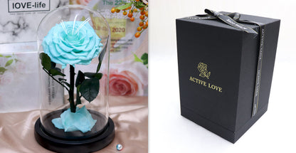 Glass Cover Tanabata Valentine's Day Immortal Rose Gift