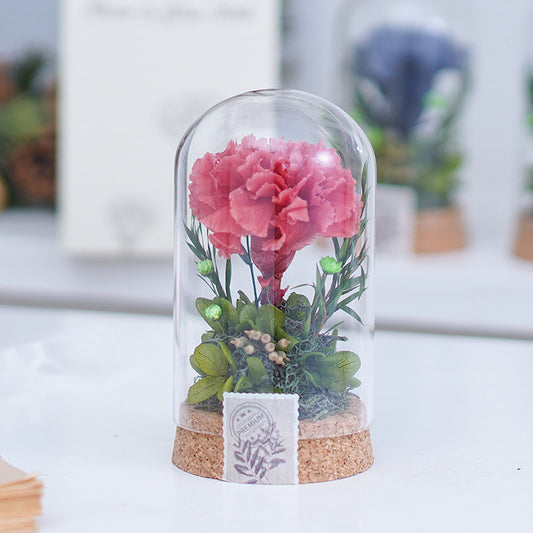 Mother's Day Gift Carnation Wishing Bottle Dandelion Preserved Fresh Flower Material Package