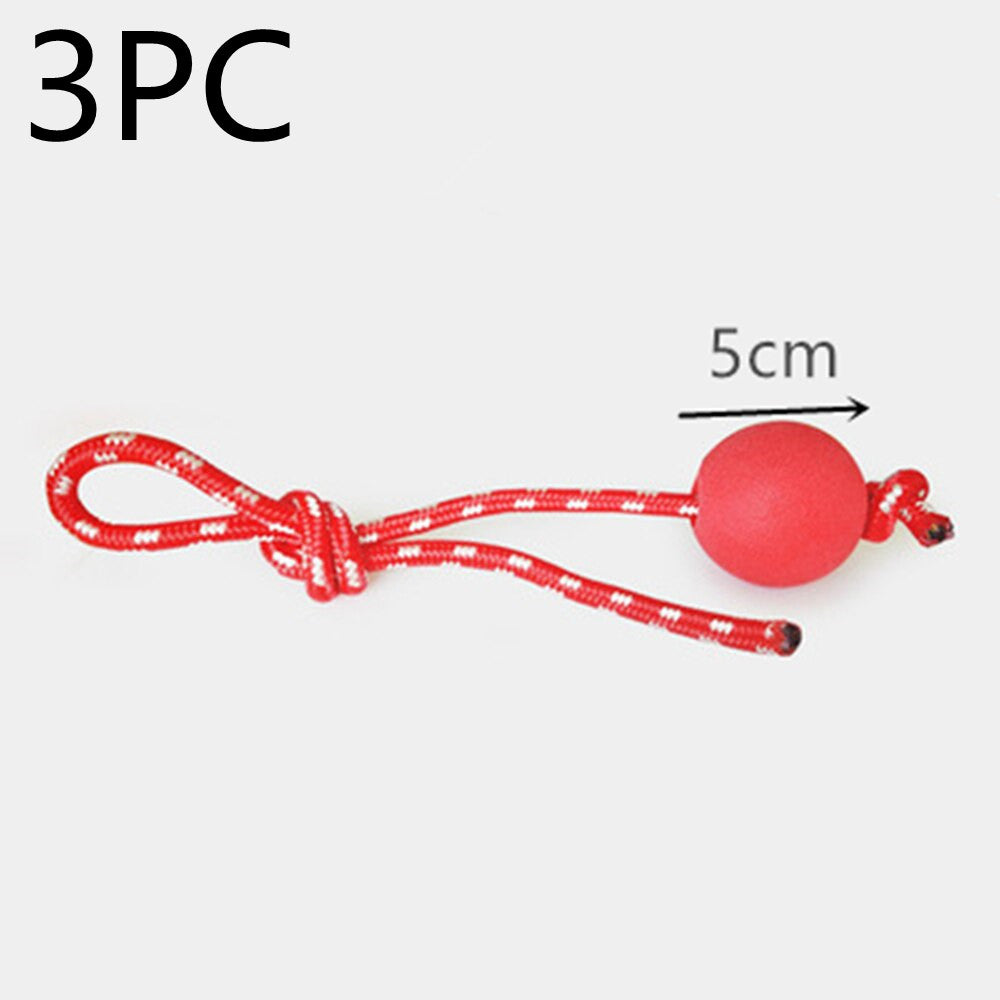 3383e23143036c4f603c945289e9528f