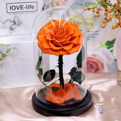 Glass Cover Tanabata Valentine's Day Immortal Rose Gift