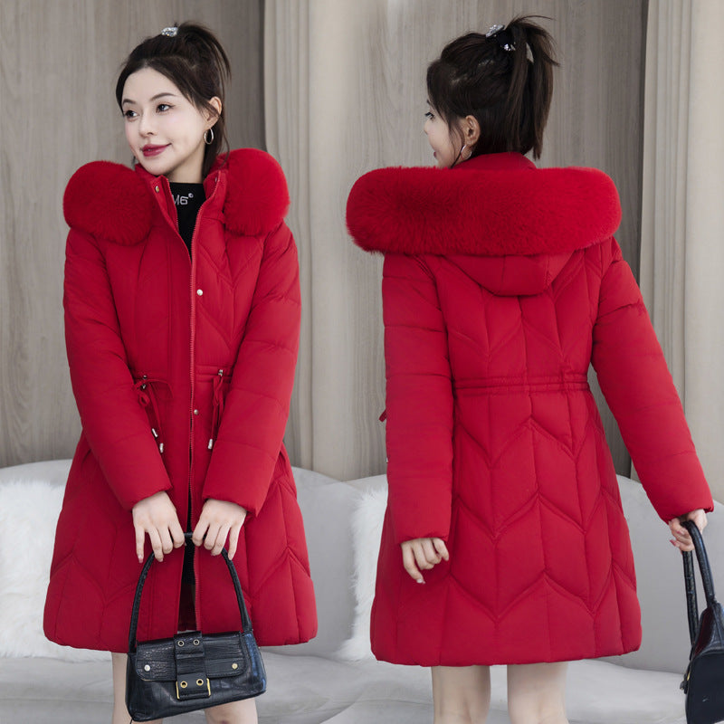 9d876de706920c24f79105d6022f7ddb