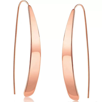 Minimalist Geometric Stainless Steel Ear Hooks