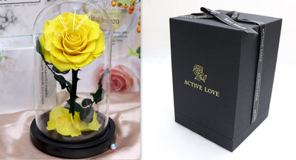 Glass Cover Tanabata Valentine's Day Immortal Rose Gift