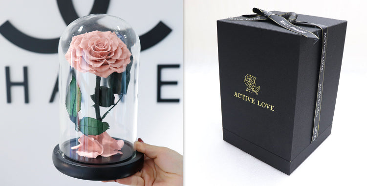 Glass Cover Tanabata Valentine's Day Immortal Rose Gift