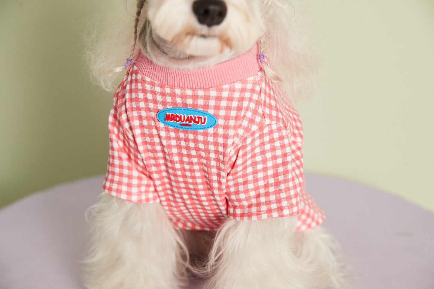 Summer Thin Candy Color Plaid T-Shirt Teddy