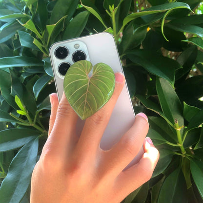 4fa4c7ab47c86b62fedb47803a918cac
