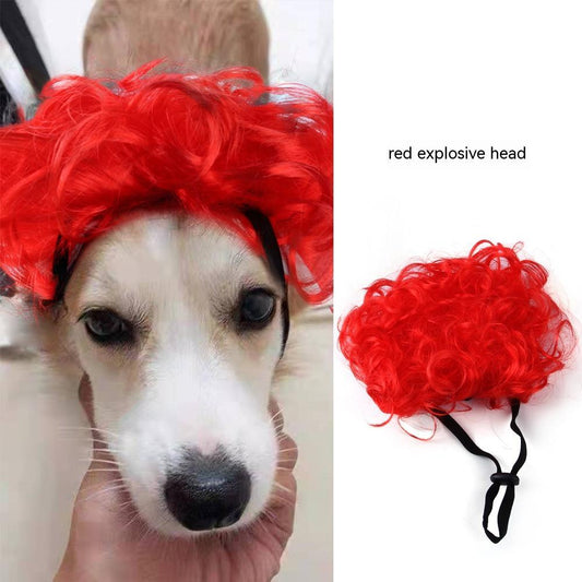 Pet Wig Afro Bangs Cat