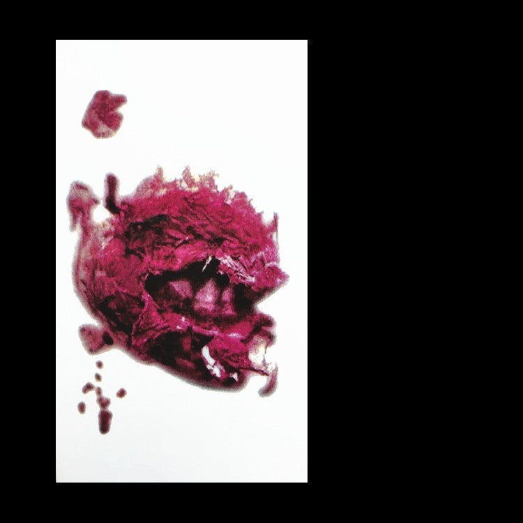 Realistic Fake Wound Tattoo Stickers - Halloween Special Effects Makeup - Waterproof Scar Temporary Tattoos