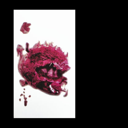 Realistic Fake Wound Tattoo Stickers - Halloween Special Effects Makeup - Waterproof Scar Temporary Tattoos