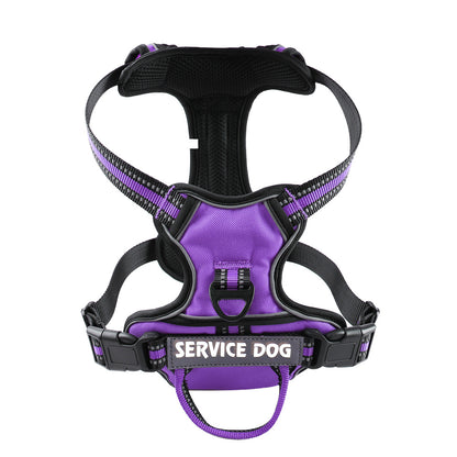 Oxford Cloth Strap Personalized Dog Back