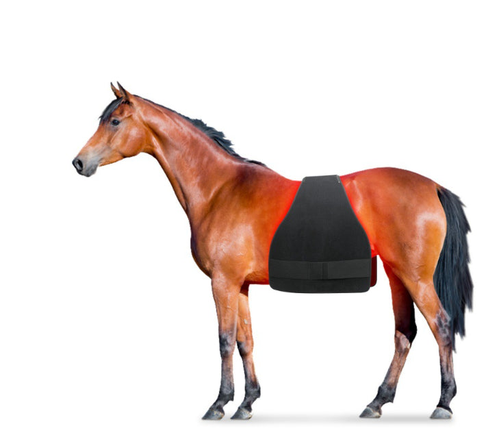 High Power Portable Horse Butt Belly Leg Abdomen Back Front Leg Red Light Infrared Physiotherapy Pad