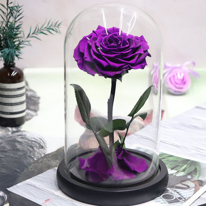 Glass Cover Tanabata Valentine's Day Immortal Rose Gift