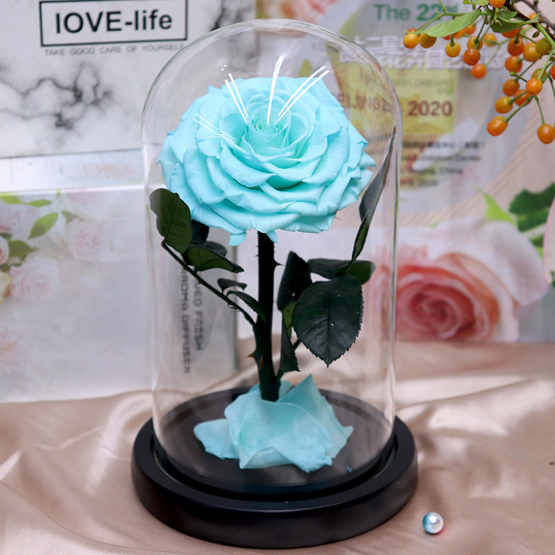 Glass Cover Tanabata Valentine's Day Immortal Rose Gift