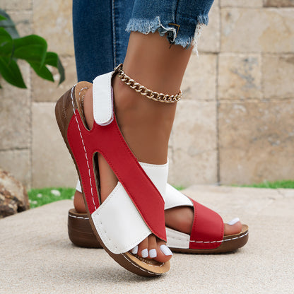 2a99d816f77b70580e502560a7e44168