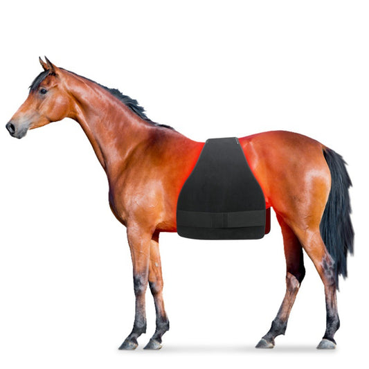 High Power Portable Horse Butt Belly Leg Abdomen Back Front Leg Red Light Infrared Physiotherapy Pad