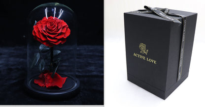 Glass Cover Tanabata Valentine's Day Immortal Rose Gift