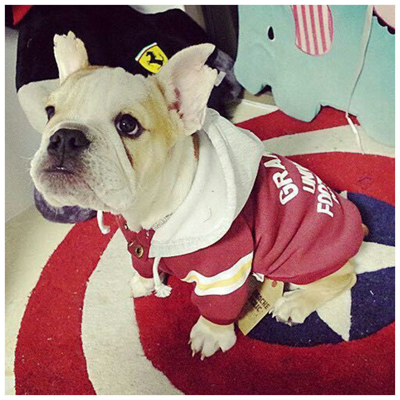 Pullover Letter Hooded Jacket Dog Clothes
