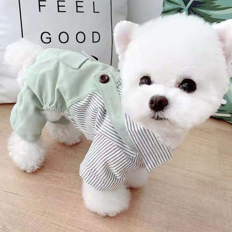 Spring And Autumn Thin Pet Puppy Cat Clothes
