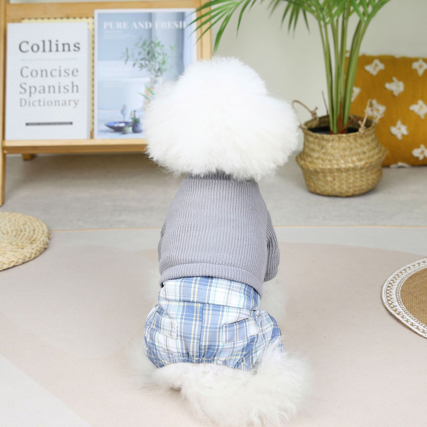 Wool Fabric Leisure Warm Sweatshirt Skirt Pants Suit Dog Clothes