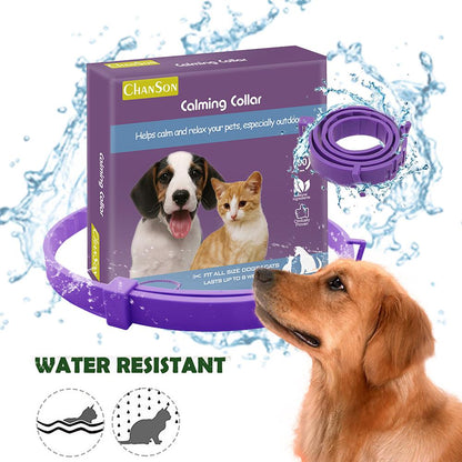 Dog Comfort Collar Cat Teddy Pet