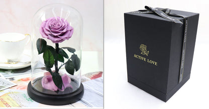 Glass Cover Tanabata Valentine's Day Immortal Rose Gift