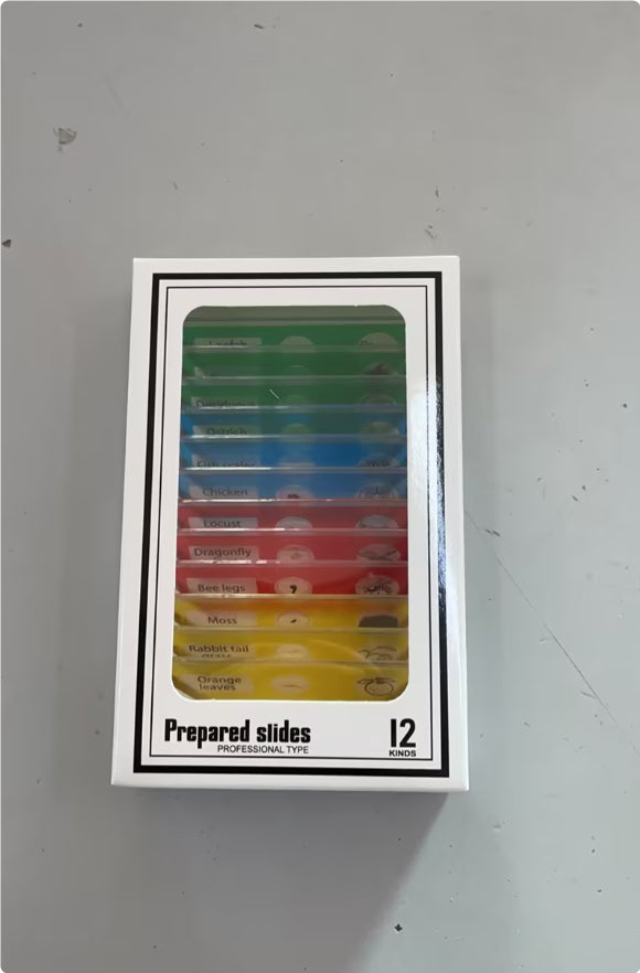 Children's Portable Optical Handheld Microscope Toy Mini Creature